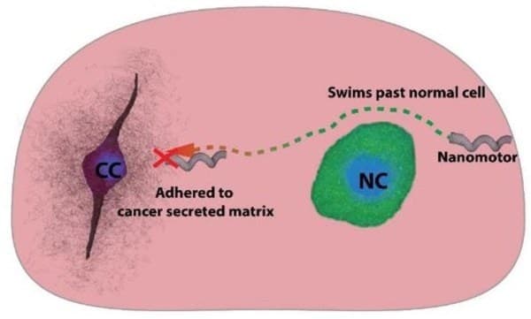Illustration for Magnetic Nanobots Cancer Therapy (Nanomedicine)