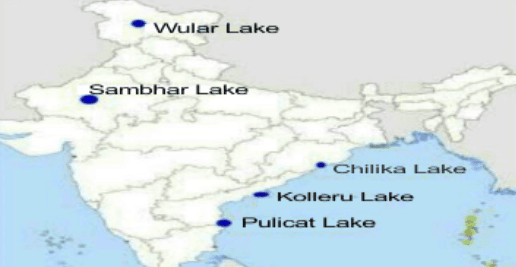 Illustration for Srimanta Sankardeva Neo-Vaishnava Bhakti Reformer (Bhakti Saint)