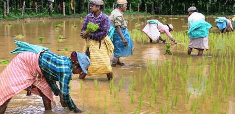 Illustration for Secondary Air Pollutants Formation (Air Pollution)