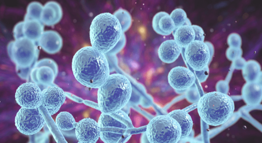 Illustration for Kaimur Wildlife Sanctuary Tiger Reserve (Tiger Reserves)