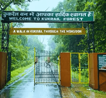 Illustration for India's First Urban Night Safari Lucknow (Urban Night Safari)