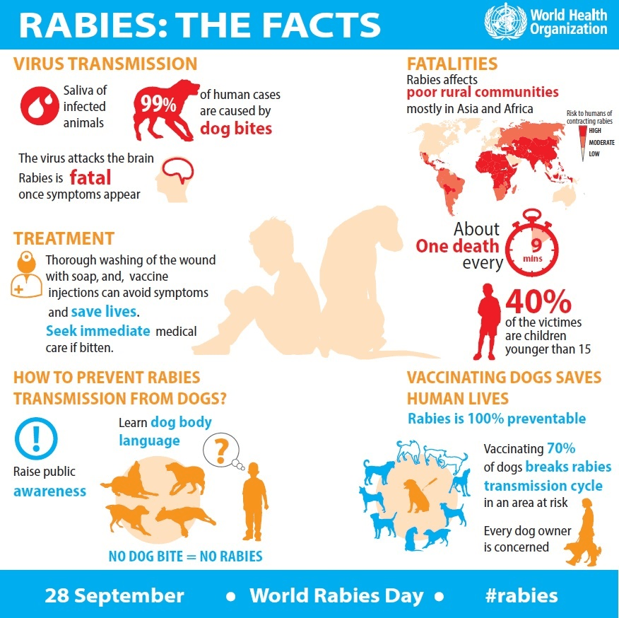 Illustration for Rabies Declared Notifiable Disease Delhi (Notifiable Diseases)