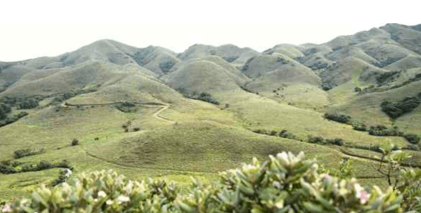 Illustration for Integrating Grasslands into Climate Action (Grassland Carbon)