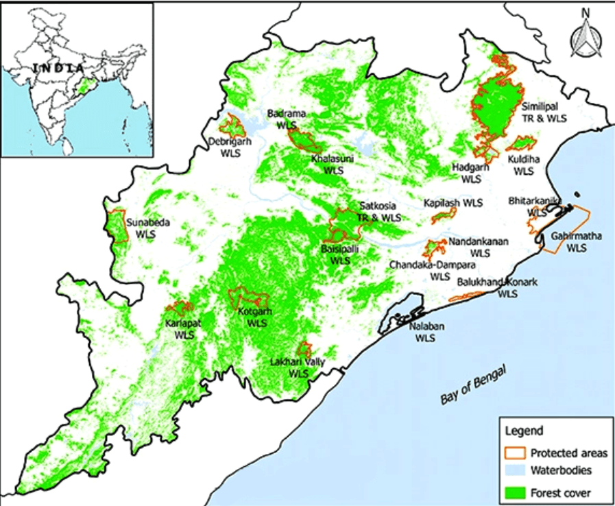 Illustration for Similipal National Park Biodiversity Highlights (National Park)