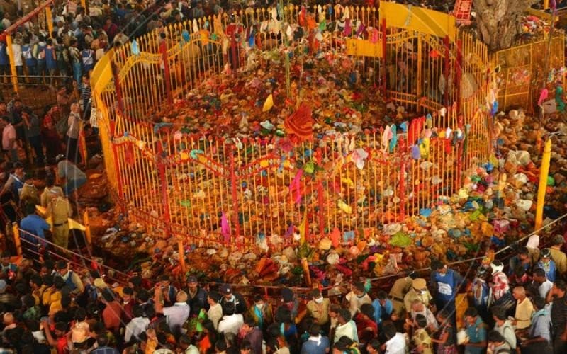 Illustration for Sammakka Saralamma Tribal Jatara (Tribal Festival)