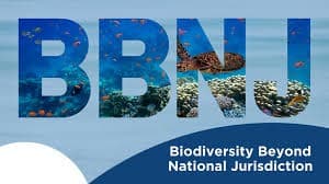 Illustration for UN High Seas Biodiversity Treaty (High Seas Treaty)