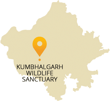 Illustration for Kumbhalgarh Wildlife Sanctuary ESZ Notification (Protected Area)