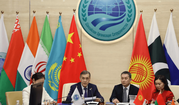 Illustration for New Plant Species Hoya nagaensis (New Plant Species)