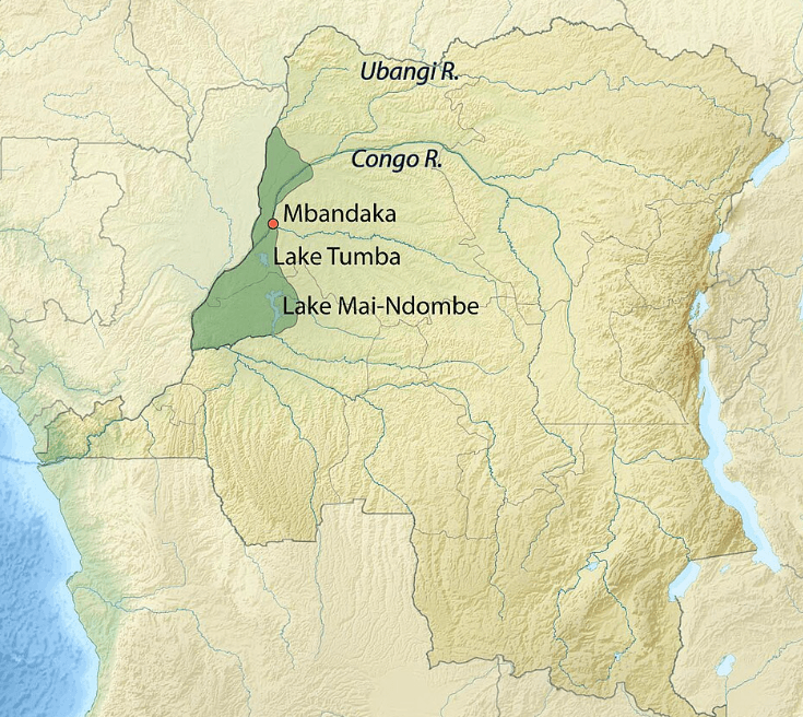 Illustration for Mai Ndombe-Tumba Peatland Lakes Emissions (Peatland Lakes)