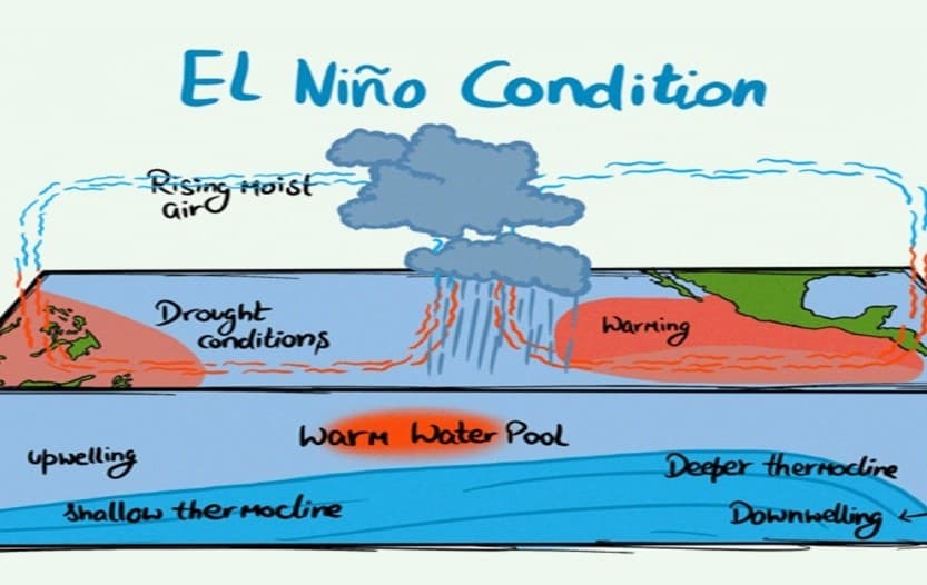Illustration for El Niño Climate Phenomenon (ENSO Cycle)