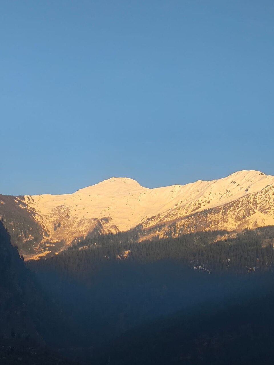 हिमाचल प्रदेश की एक लंबी बर्फ़ ढकी हिमालयी शिखर-श्रेणी, जो साफ़ गहरे नीले आकाश के नीचे नीची सुनहरी धूप पकड़े हुए है, जबकि नीचे की देवदार-वनों वाली ढलानें अब भी छाया में गहरी पड़ी हैं
