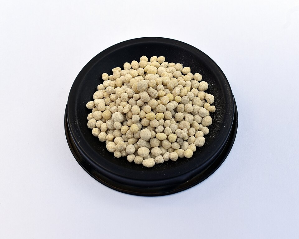 A heap of di-ammonium phosphate fertiliser granules on a shallow black dish against a white background — several hundred rounded, matt pellets a few millimetres across, in mottled cream, pale grey and buff, with a scatter of dust on the rim of the dish.