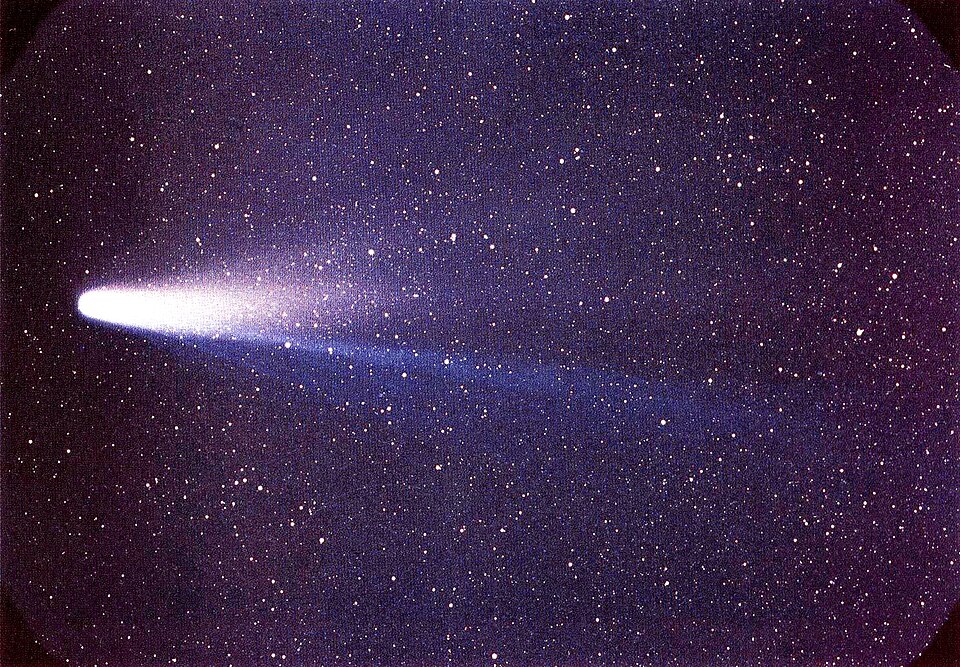 Halley's Comet on a grainy colour astronomical plate: a brilliant white teardrop-shaped coma at the left, its blue-white dust tail fanning out and fading away across two-thirds of the frame, set against a deep violet sky dense with pinpoint stars.