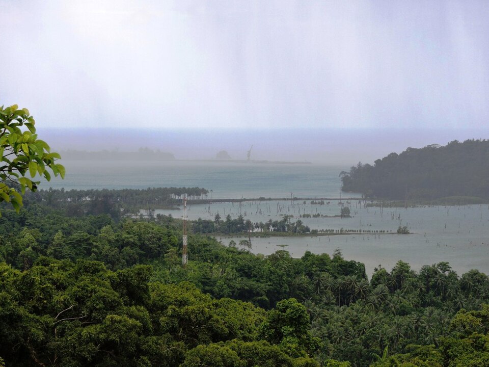 A rain squall drifting across Great Nicobar: unbroken dense green forest canopy fills the whole foreground and slope, and beyond it a low flooded coastal flat studded with bare dead tree trunks runs out to a grey sea, the horizon lost in falling rain.