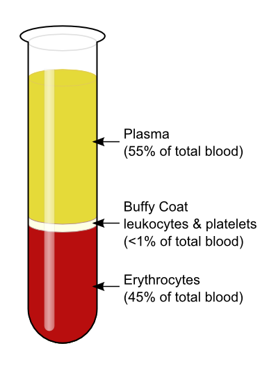 A labelled figure of a test tube of centrifuged blood standing upright: a tall yellow column marked 'Plasma (55% of total blood)' on top, a thin white band marked 'Buffy Coat — leukocytes & platelets (<1%)' in the middle, and a dark red column marked 'Erythrocytes (45% of total blood)' filling the rounded bottom