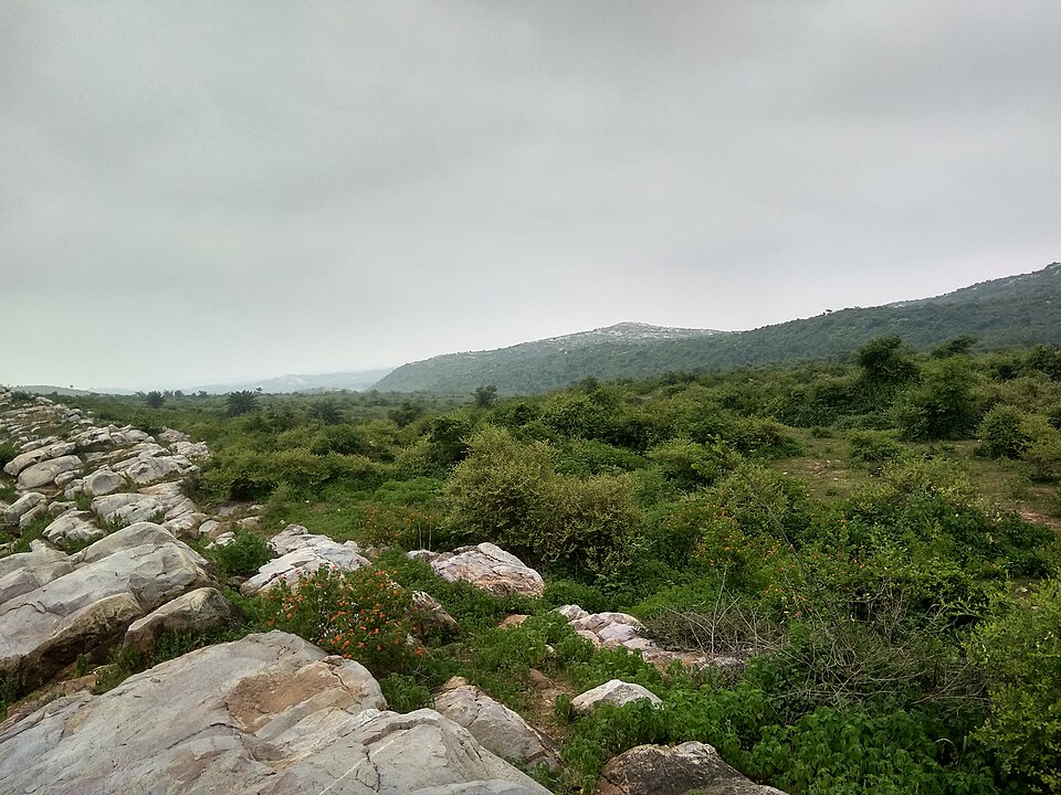 Scrub-covered hill country near Jamalpur in Munger district — slabs of bare grey crystalline rock breaking through the slope in the foreground, dense low green bushes over the rest of the hillside, and a long low wooded ridge running across the horizon under a grey monsoon sky