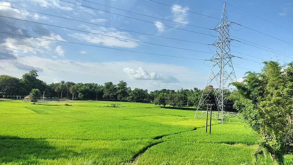 Flooded paddy fields in full green growth near Darbhanga in the Bihar plain, divided by low earth bunds under a monsoon sky of towering white cloud