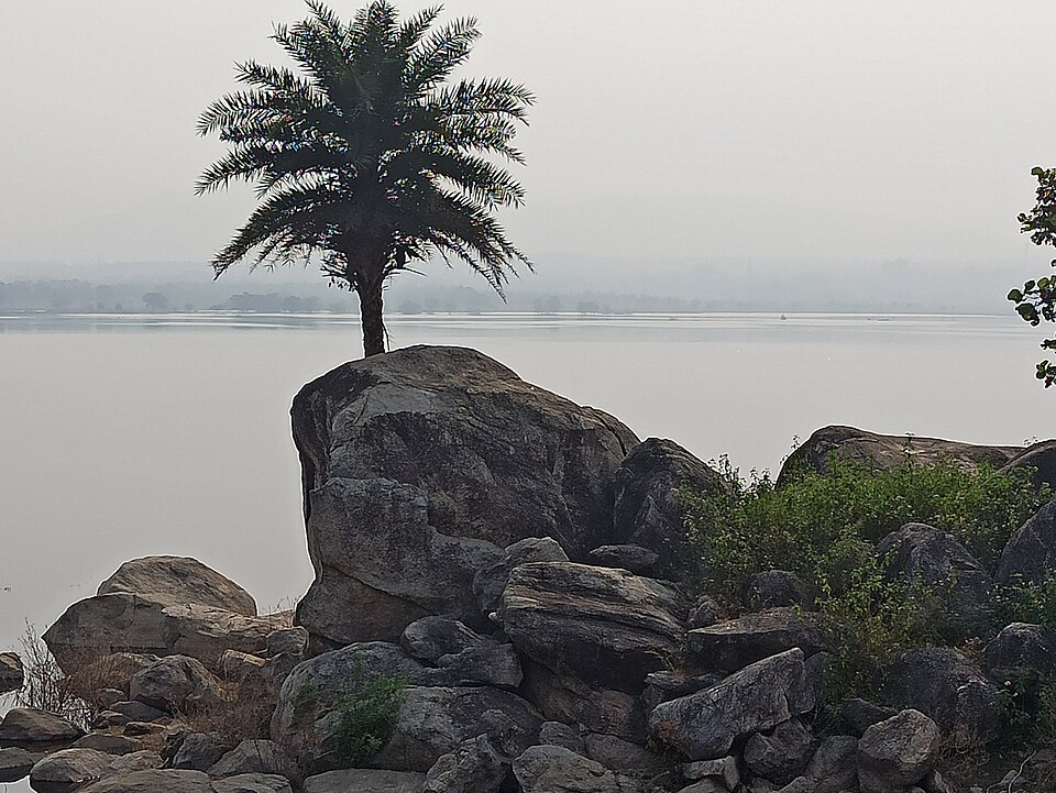 A rocky granite tor topped by a lone palm tree on the shore of the Nagi Dam reservoir in Jamui district, with the hazy expanse of open water and low hills behind