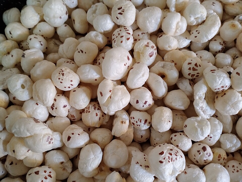 A close-up mass of popped white makhana (foxnut) kernels from Nawada district, Bihar, each puffed kernel still flecked with fragments of the dark seed coat