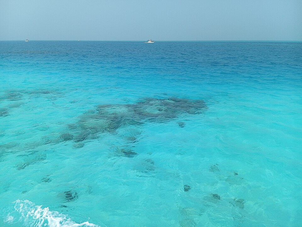 Shallow turquoise water over a coral reef, dark reef patches visible beneath the sunlit surface with open blue sea beyond