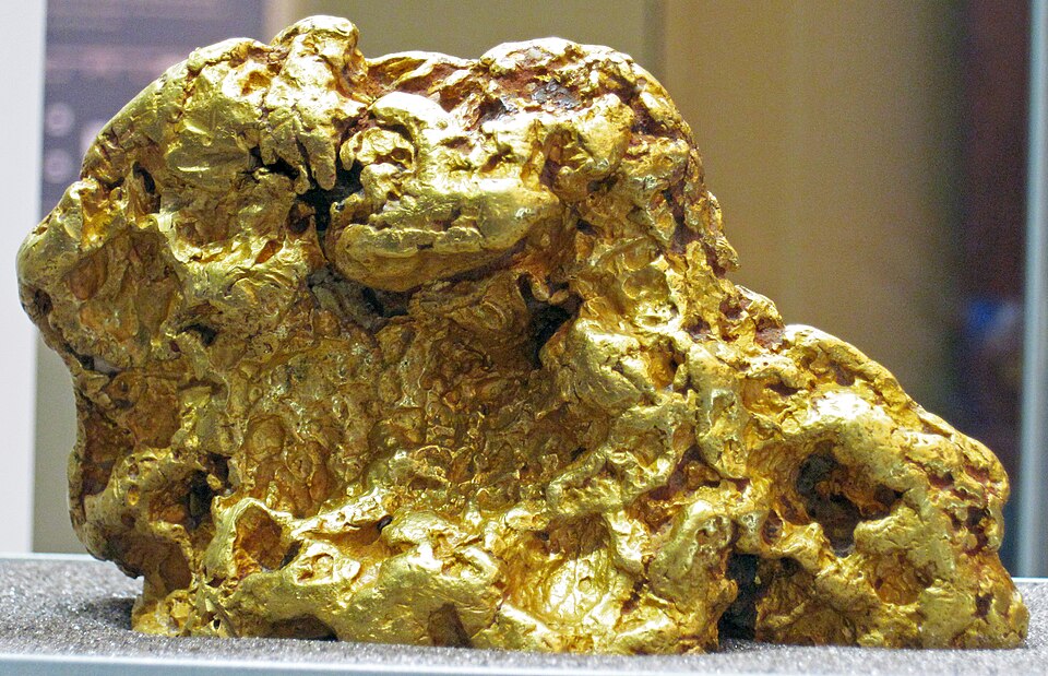 A large lumpy nugget of native gold, its bright metallic surface pitted and folded, resting on a display stand