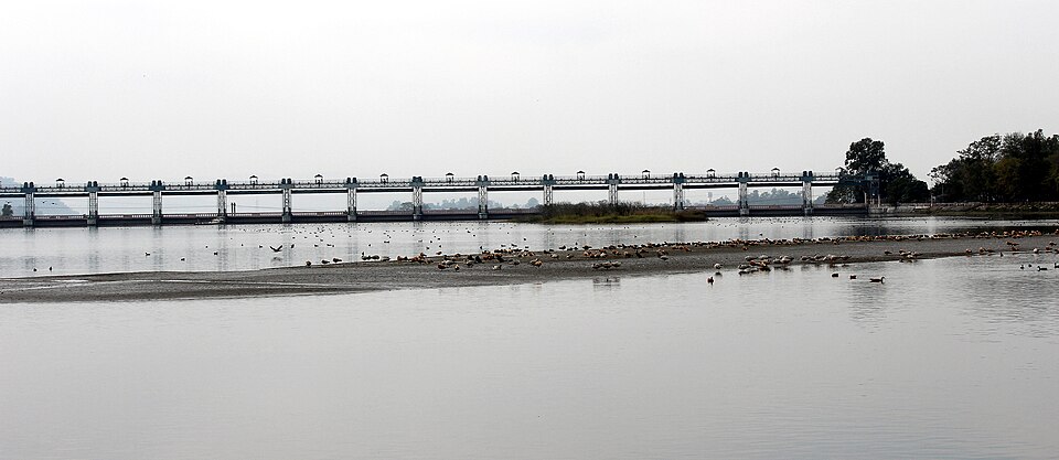 The gated span of the Asan Barrage stretching across still water, with flocks of waterbirds gathered on an exposed sandbar in front of it