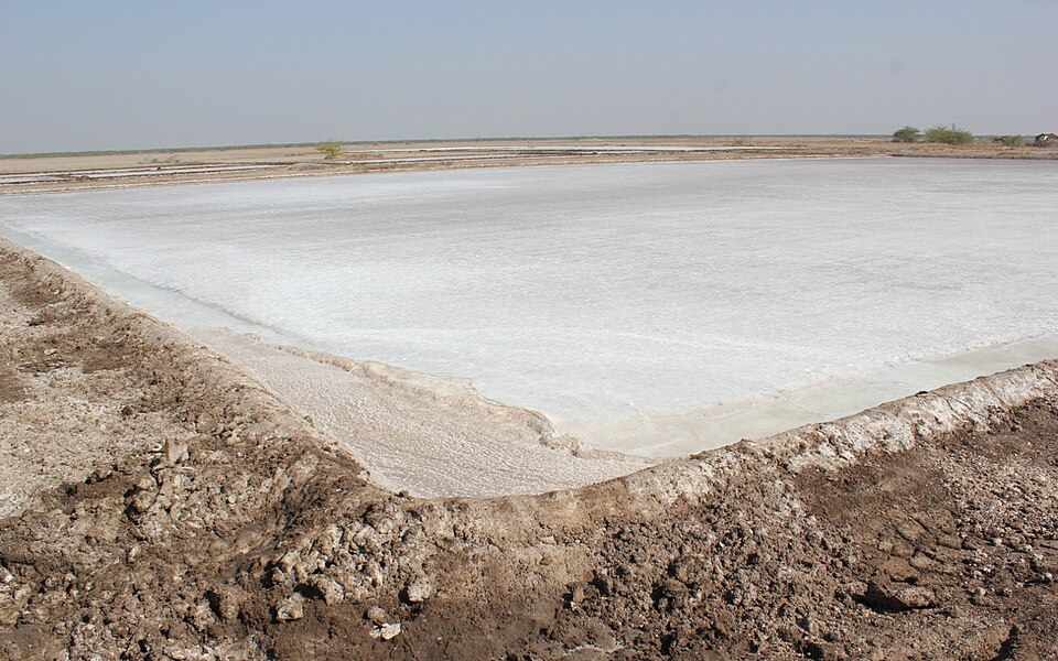 A shallow evaporation bed in the Little Rann of Kutch bounded by earth bunds, its floor covered by a white crust of crystallised salt