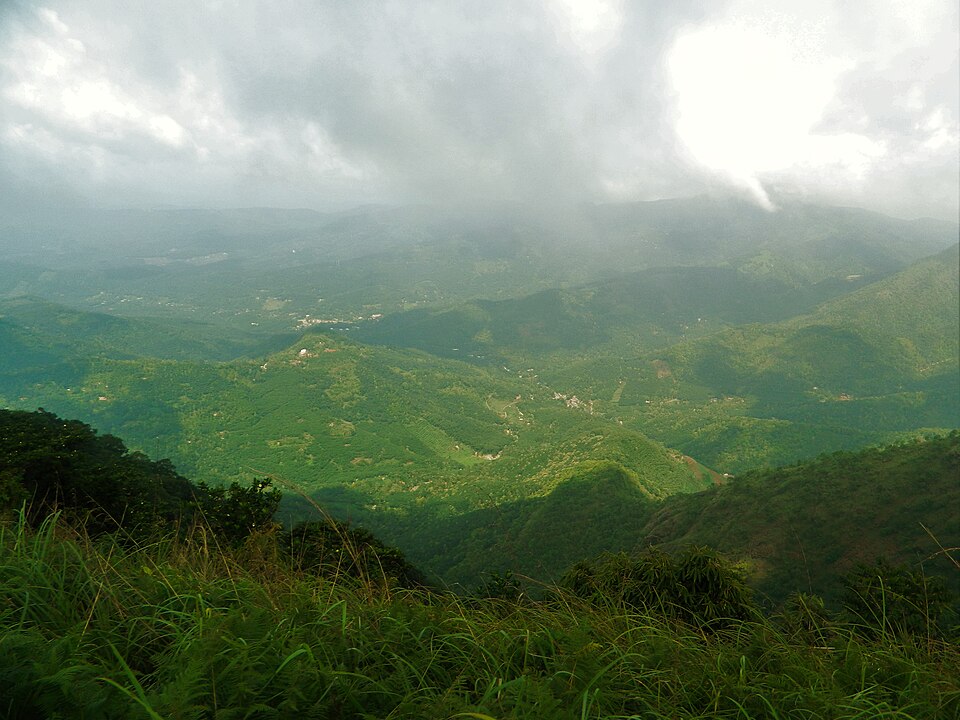 Forested and cultivated ridges of the Cardamom Hills in Kerala receding into low cloud, seen from a grassy ridge top