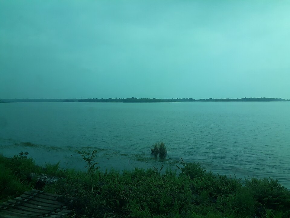 The broad open water of Chilika lagoon in Odisha under an overcast sky, with a low tree-lined shore in the distance and marsh grass in the foreground