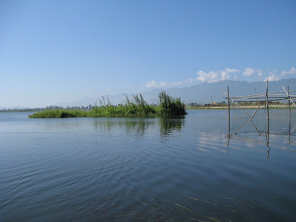 A floating mat of grass and reeds drifting on the open water of Loktak Lake, with a bamboo fishing frame at the right and hills on the far shore