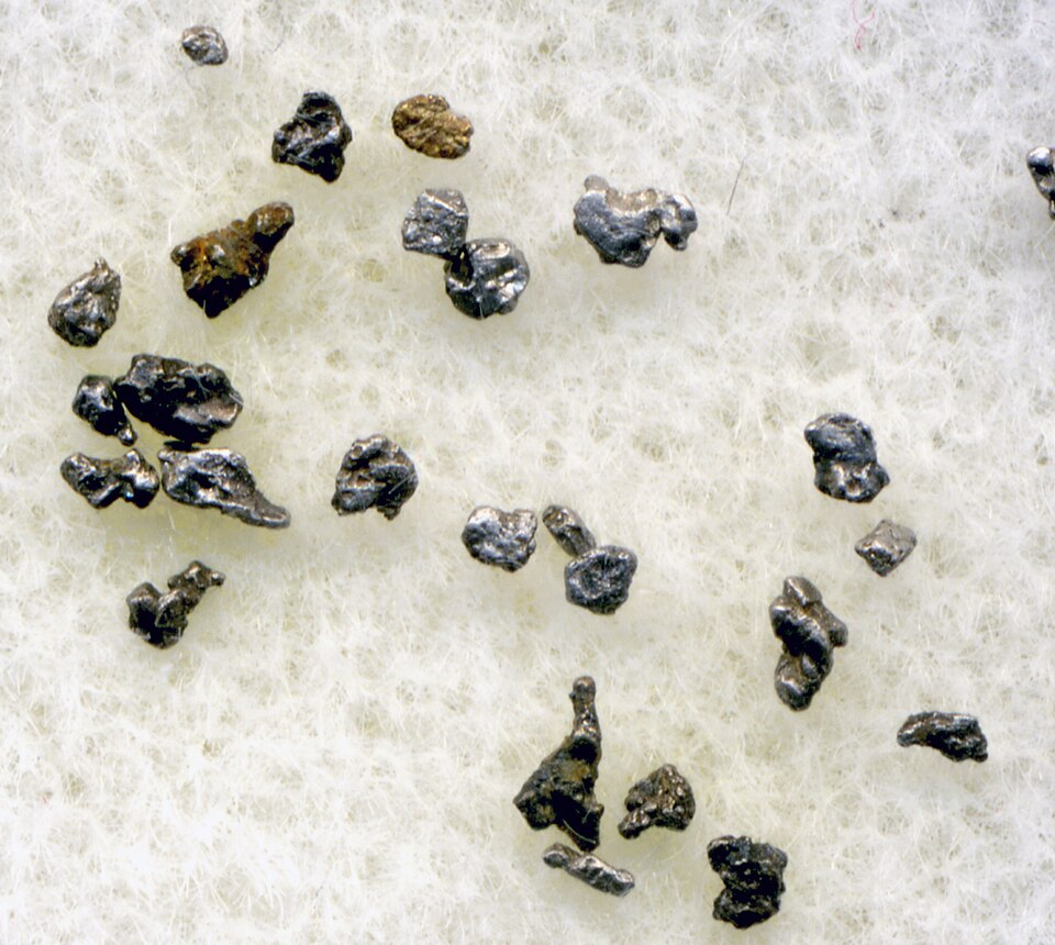 About two dozen small, irregular, dark metallic nuggets of native platinum scattered on a white fibrous backing