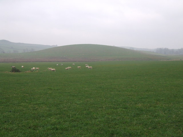 A single low oval hill with smooth streamlined slopes rising from flat sheep pasture, a drumlin of glacial till