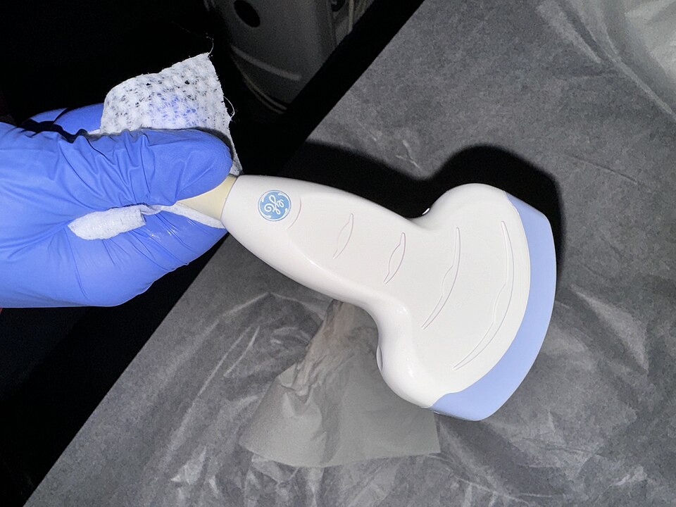 A hand-held medical ultrasound transducer probe with a broad curved white scanning face, held by a gloved hand as it is wiped clean