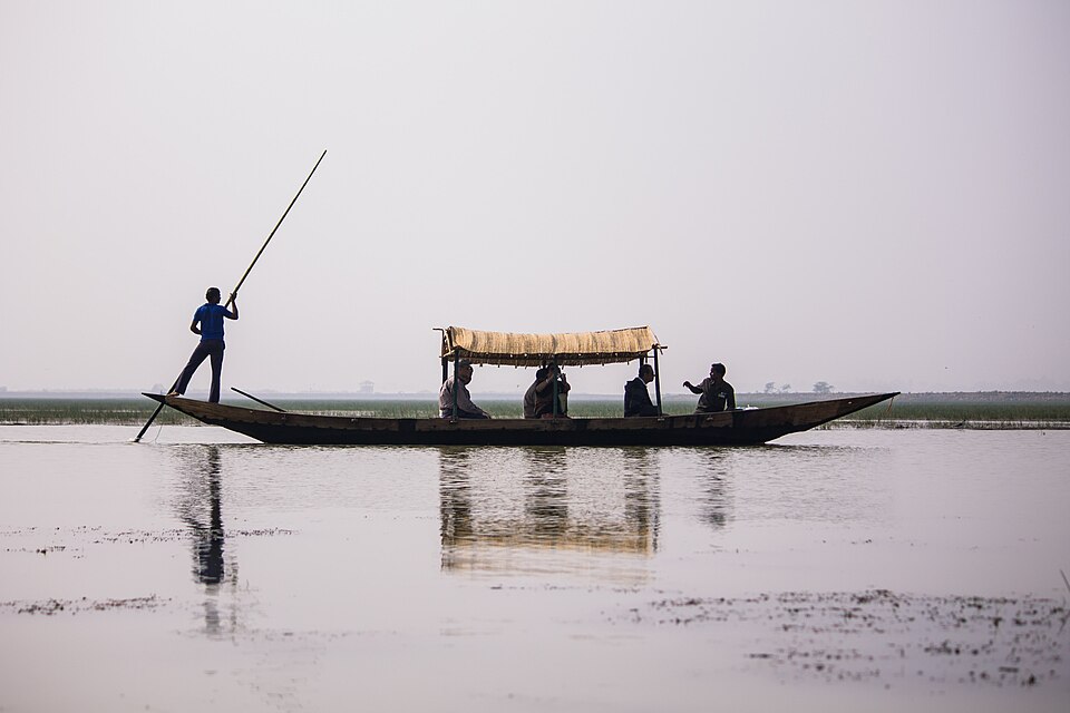 A flat-bottomed boat with a thatched canopy being poled across the shallow open water of the Mangalajodi wetlands of Chilika Lake, with reed beds stretching to the horizon