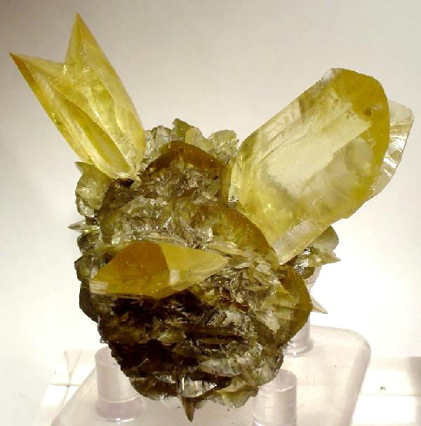 A mineral specimen of gypsum: translucent amber-yellow bladed crystals fanning out from a cluster of smaller pale crystals