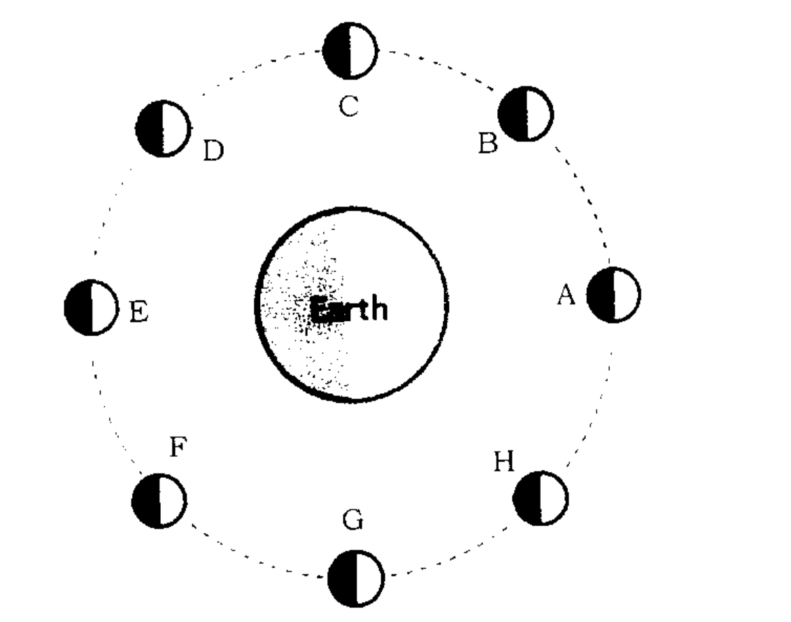 मध्यभागी पृथ्वी (आकृतीत 'Earth' असे छापलेले) आणि तिच्याभोवती ठिपक्यांच्या वर्तुळाकार कक्षेवर चंद्राची आठ स्थाने — उजवीकडे A, वर-उजवीकडे B, अगदी वर C, वर-डावीकडे D, डावीकडे E, खाली-डावीकडे F, अगदी खाली G आणि खाली-उजवीकडे H. आठही चंद्रबिंबे एकाच पद्धतीने छापली आहेत : प्रत्येकाचा उजवा अर्धा भाग पांढरा (प्रकाशित) व डावा अर्धा भाग काळा. आकृतीत सूर्य दाखवलेला नाही आणि कलेचे नावही कोठे लिहिलेले नाही.