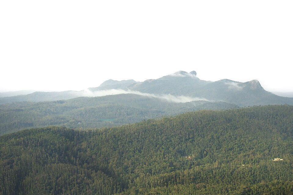 Ridge after ridge of densely forested Western Ghats hills receding into mist, seen from Mullayanagiri in Karnataka.
