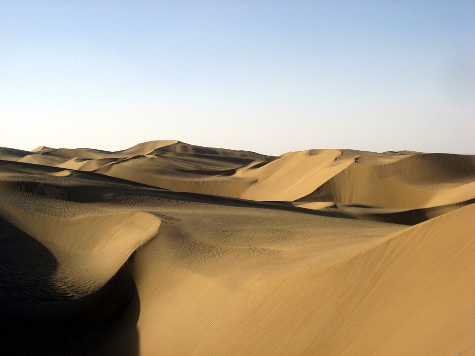 Rows of bare, wind-rippled sand dunes stretching to the horizon under a pale sky in the Taklamakan desert of Xinjiang, with no vegetation anywhere in view.
