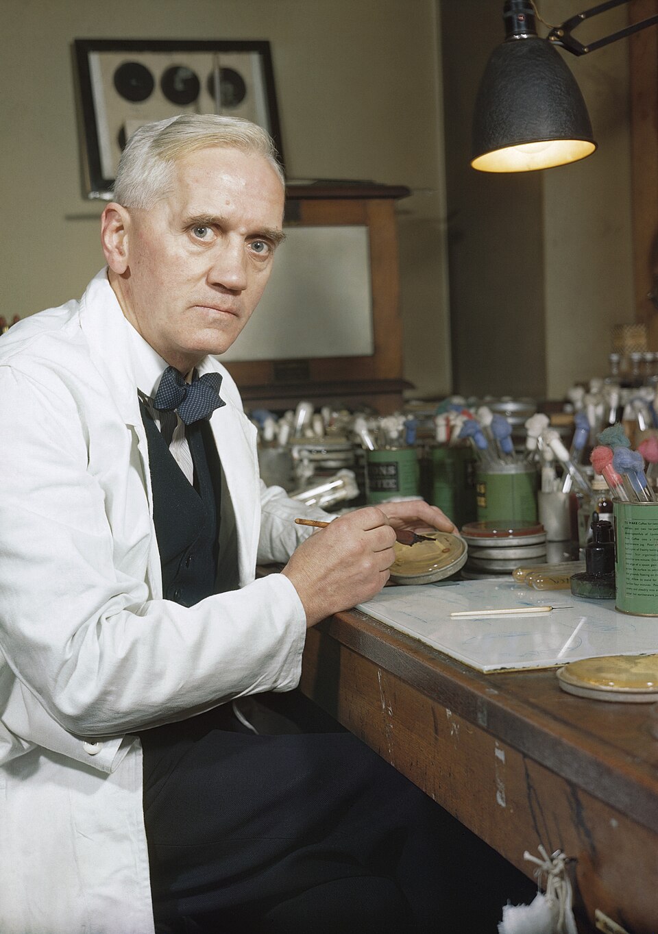 Alexander Fleming in a white lab coat and bow tie seated at his laboratory bench at St Mary's, Paddington, holding a wire loop over an open culture dish, with racks of culture tubes and a lamp beside him.