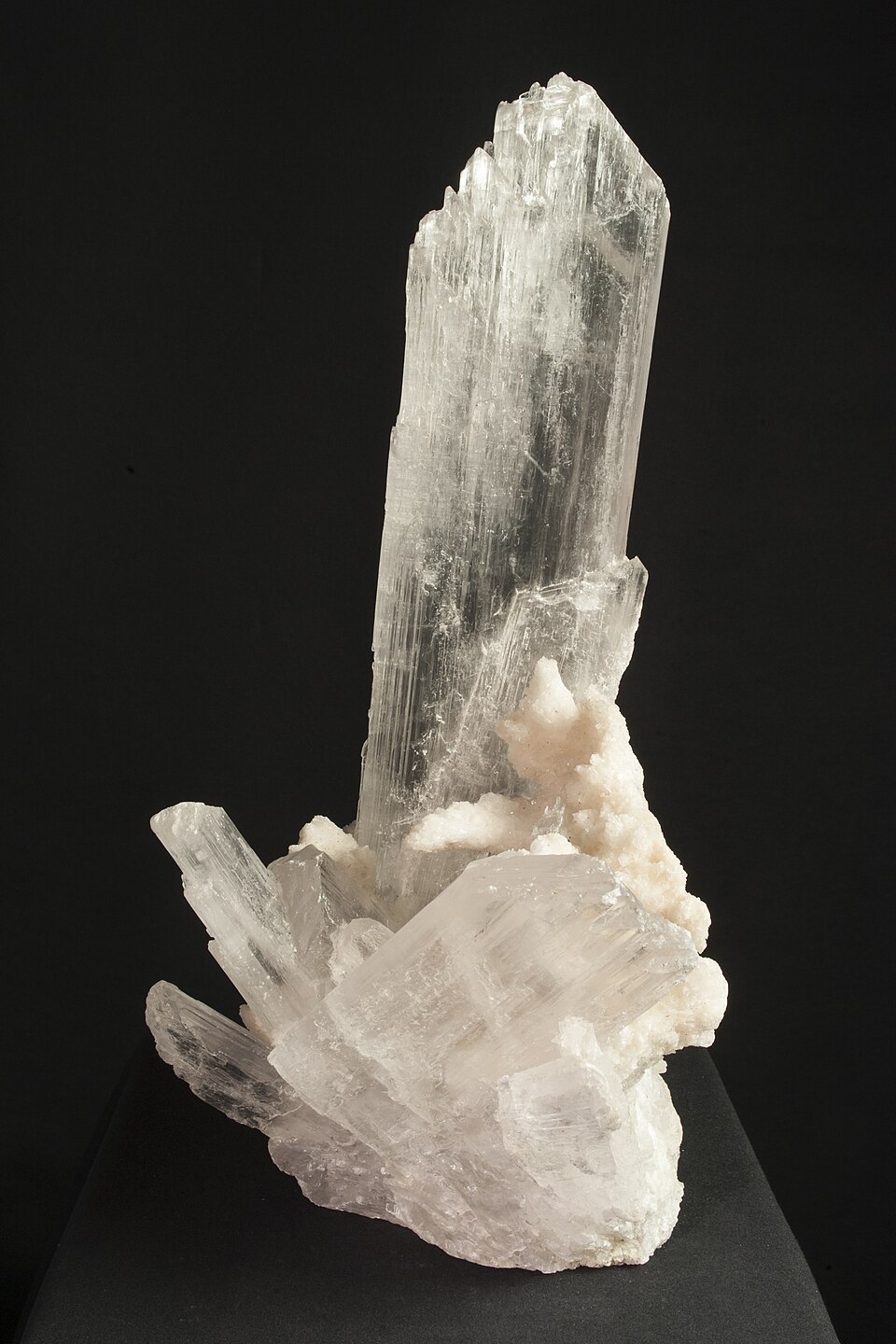 A museum specimen of gypsum on a black background: a tall, glassy, colourless bladed crystal rising from a cluster of smaller white crystals.