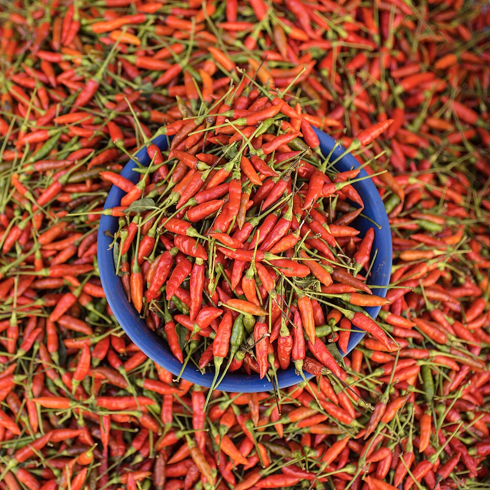 A market display of hundreds of small red chilli peppers heaped around and inside a blue plastic bowl, seen from directly above.