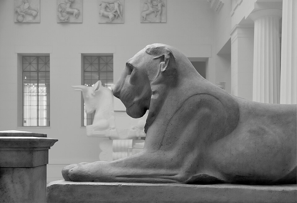 A white plaster-of-Paris cast of a reclining lion sculpture in a museum gallery
