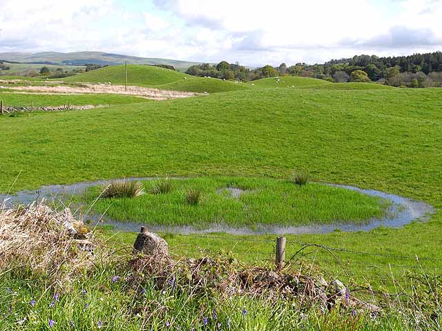 A field of smooth, elongated egg-shaped glacial drumlins forming rolling 'basket of eggs' topography