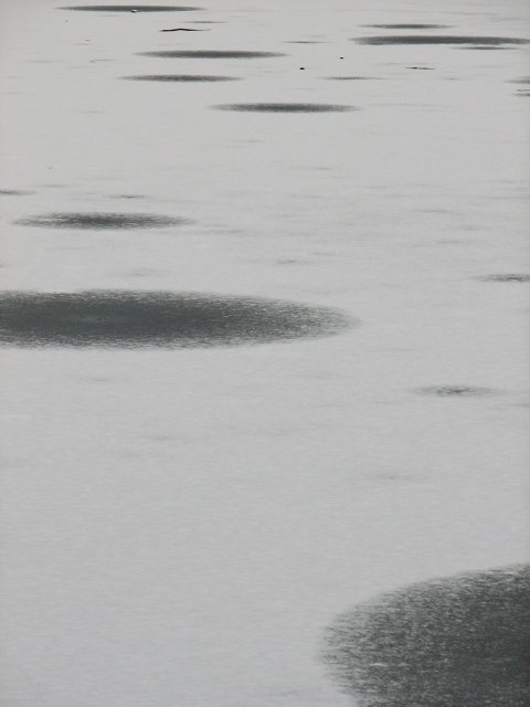 A sheet of ice covering the surface of a partly frozen pond