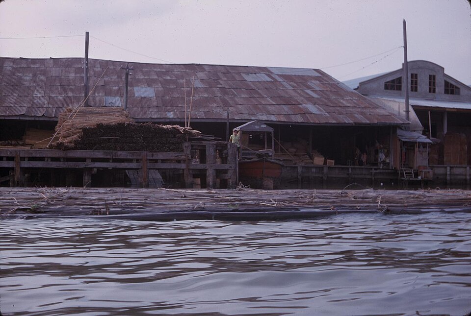 Cut timber logs floating on the surface of water beside a waterfront warehouse, illustrating buoyancy.