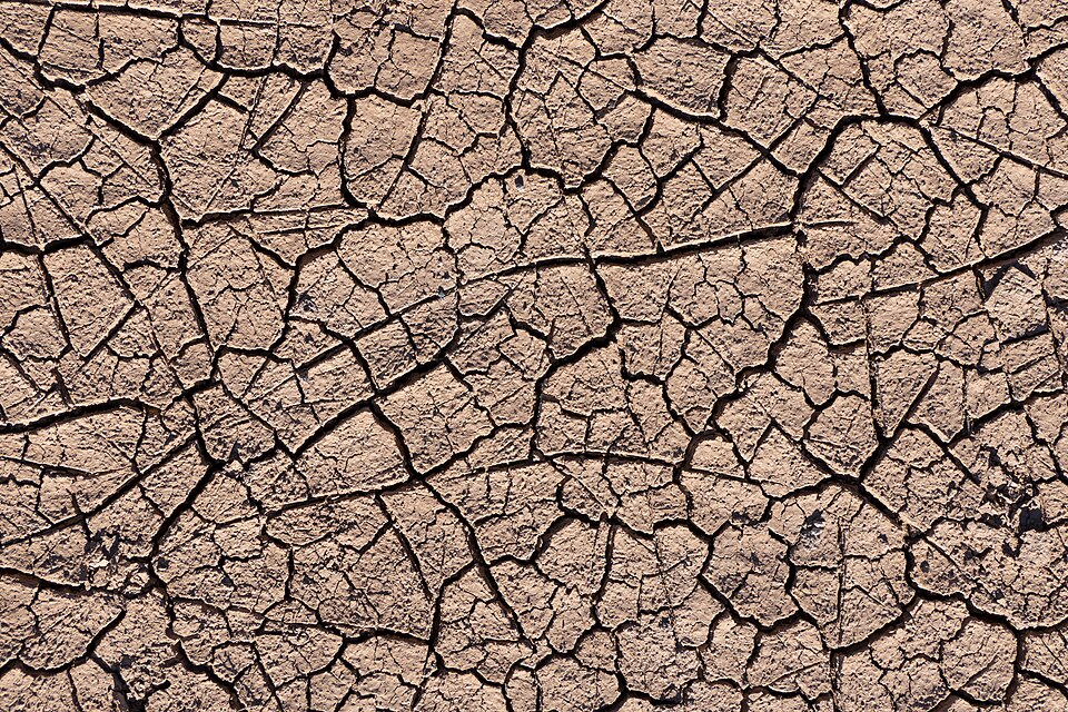 Flat cracked salt-and-clay bed of a dried-up ephemeral desert lake (playa)