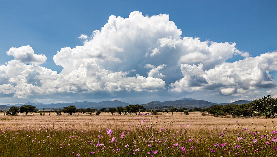 A large cumulonimbus cloud building over a mountainous landscape with a rain shaft