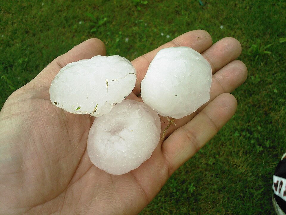 A handful of large hailstones held in a palm after a hailstorm