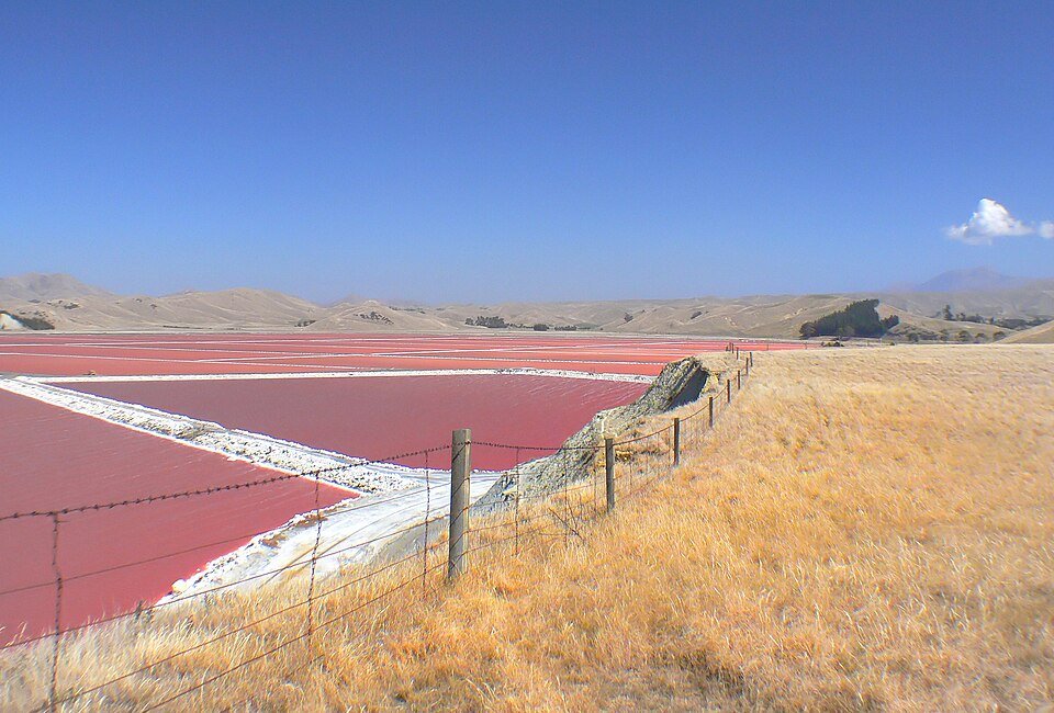 Wide shallow coastal salt-evaporation pans where seawater is dried in the sun to harvest salt