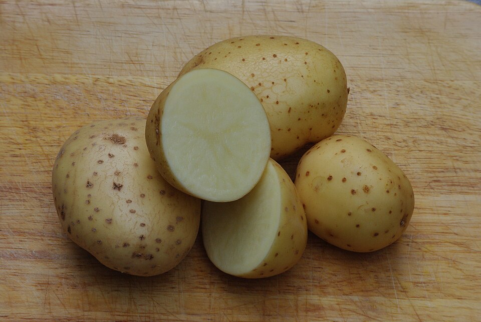 A potato tuber cut in half, exposing its starch-rich pale flesh